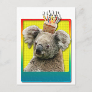Carte Postale Birthday Cupcake Koala