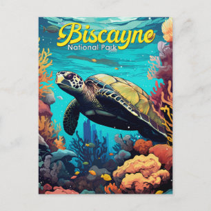 Carte Postale Biscayne National Park Turtle Illustration Retro
