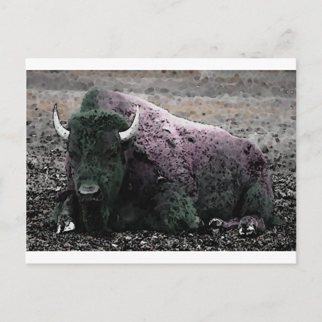 Carte Postale Bison (Devant)