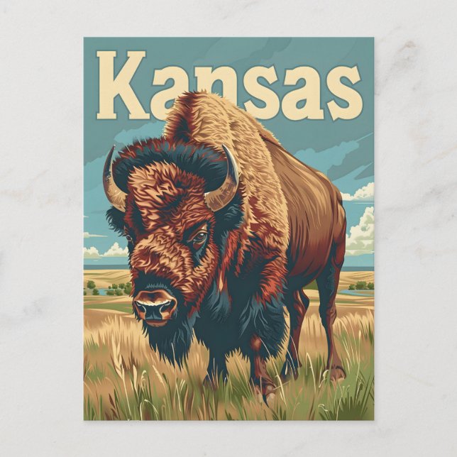 Carte Postale Bison américain du Kansas (Devant)