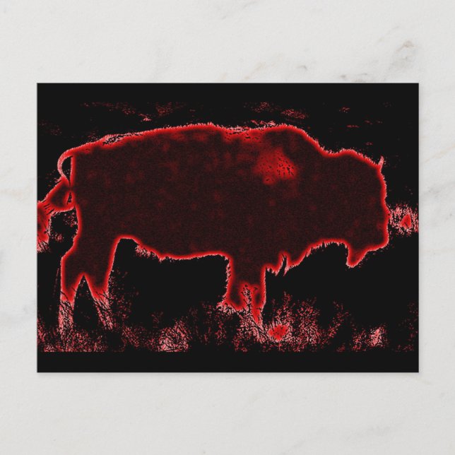 Carte Postale Bison / Buffle (Devant)