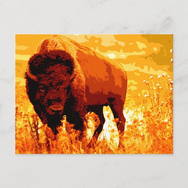 Carte Postale Bison / Buffle (Devant)