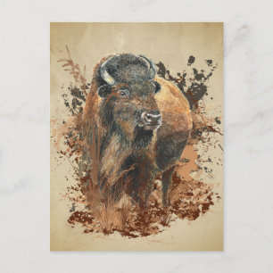 Carte Postale Bison Buffle Animalier Faune Nature Aquarelle