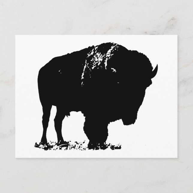 Carte Postale Bison de bison noir et blanc Pop Art (Devant)