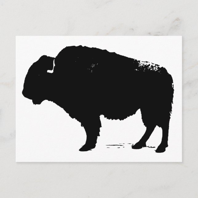 Carte Postale Bison de Buffalo Art noir et blanc (Devant)