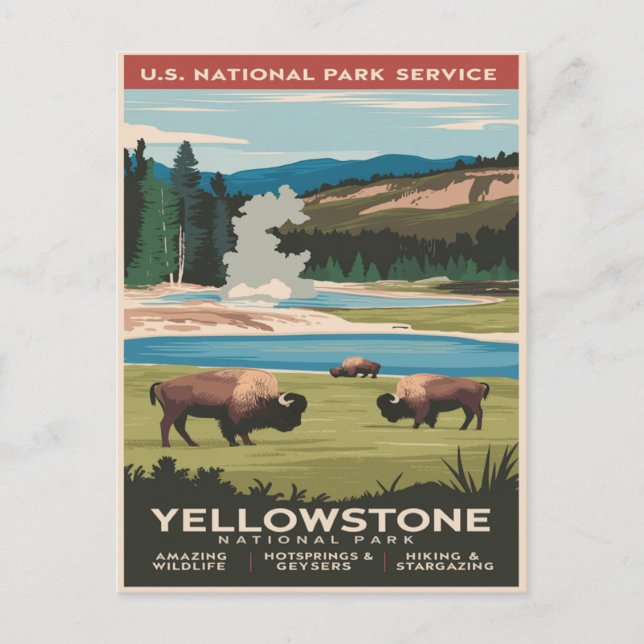 Carte Postale Bison de Yellowstone au bord du lac (Devant)
