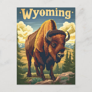Carte Postale Bison du Wyoming