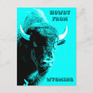 Carte Postale Bison taureau de Buffalo bleu turquoise