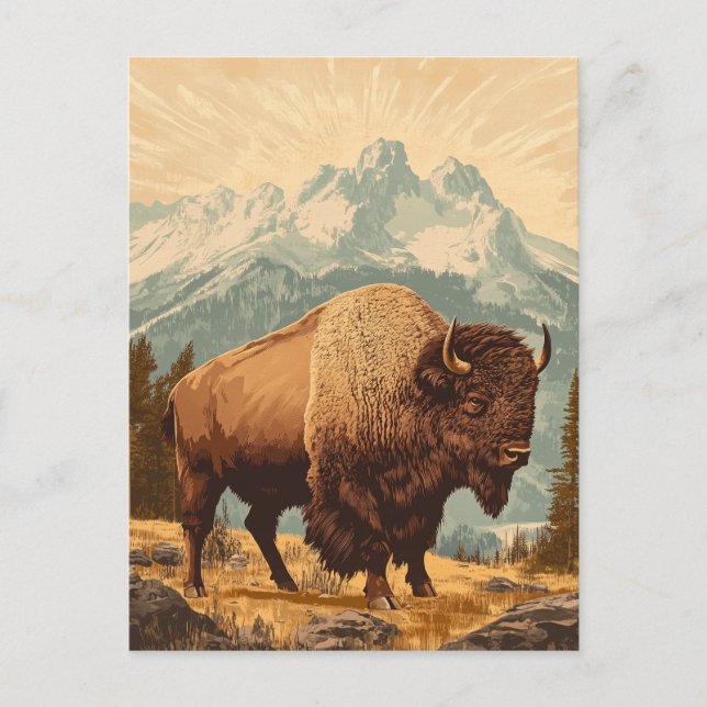 Carte Postale Bison Vintage (Devant)