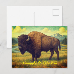 Carte Postale Bisons du Parc national de Yellowstone, Wyoming