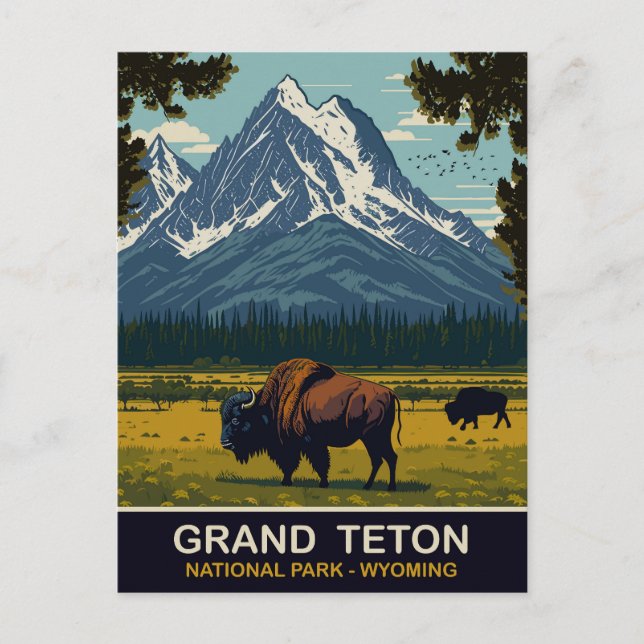 Carte Postale Bisons, Grand Teton Natural Park, Wyoming, Voyage (Devant)