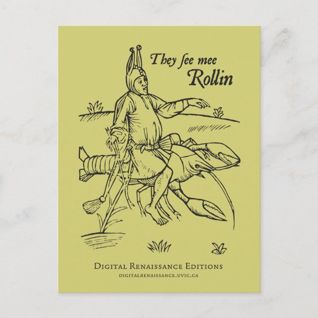 Carte postale Bisque Walk (Devant)