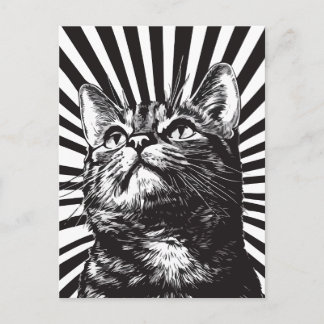 Carte Postale Black and white cat