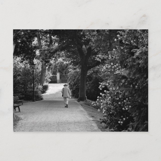 Carte Postale Black and white photo of old man at park (Devant)
