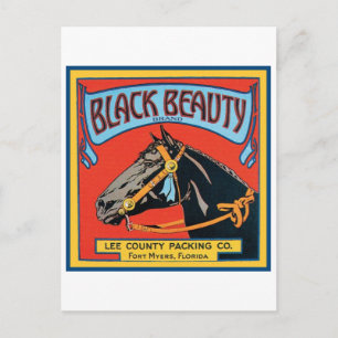 Carte Postale Black Beauty Vintage Crate Étiquette - Cheval
