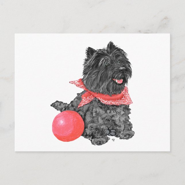 Carte Postale Black Cairn Terrier avec balle (Devant)