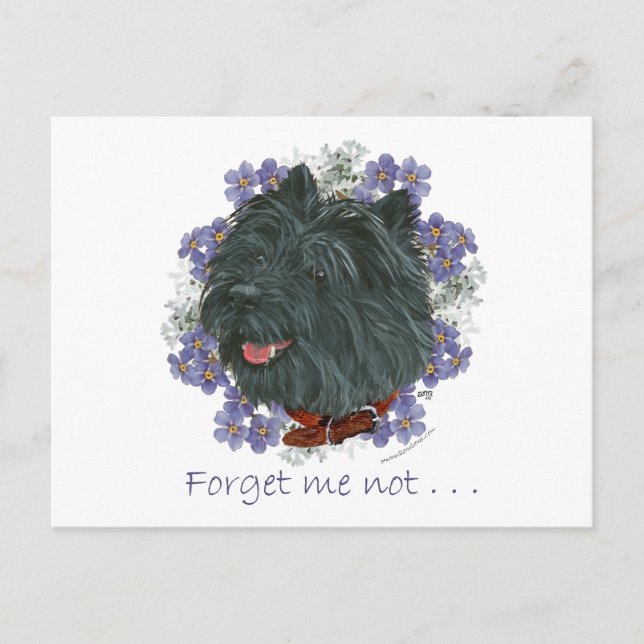 Carte Postale Black Cairn Terrier Oubliez-moi-pas (Devant)