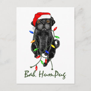 Carte Postale Black Carlin Chien Bah Humpug Funny Noël