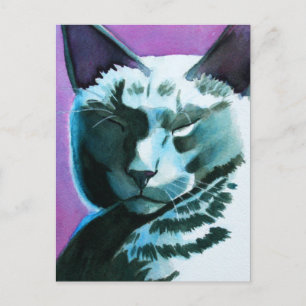 Carte Postale Black Cat Marina Regal