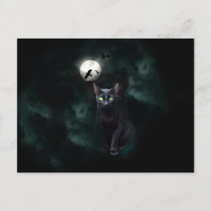 Carte postale Black Cat Moon