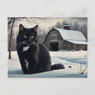 Carte Postale Black Cat Série 2 02