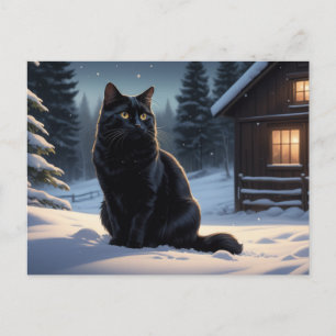 Carte Postale Black Cat Série 2 07