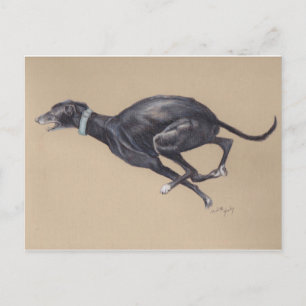 Carte postale Black Greyhound Running Chig Art