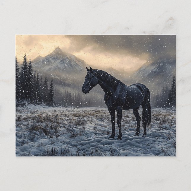 Carte Postale Black Horse paysage neigeux Pittoresque (Devant)