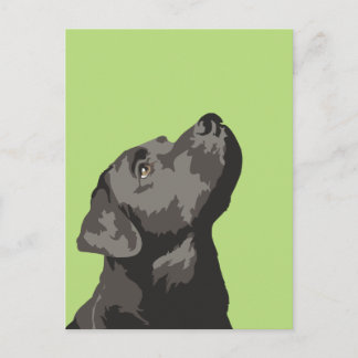 Carte Postale Black Labrador (Choisissez Votre Pro