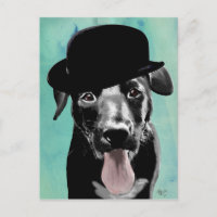 Black Labrador dans le Casquette Bowler