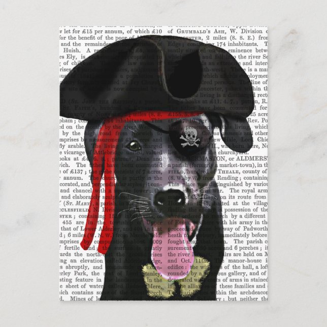 Carte Postale Black Labrador Pirate (Devant)