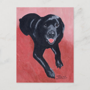 Carte Postale Black Labrador Souriant