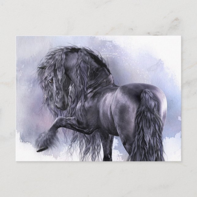 Carte postale Black Pearl (Devant)