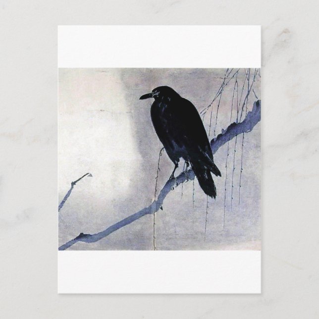 Carte Postale Black Raven Bird (Devant)