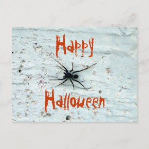 Carte postale Black Spider
