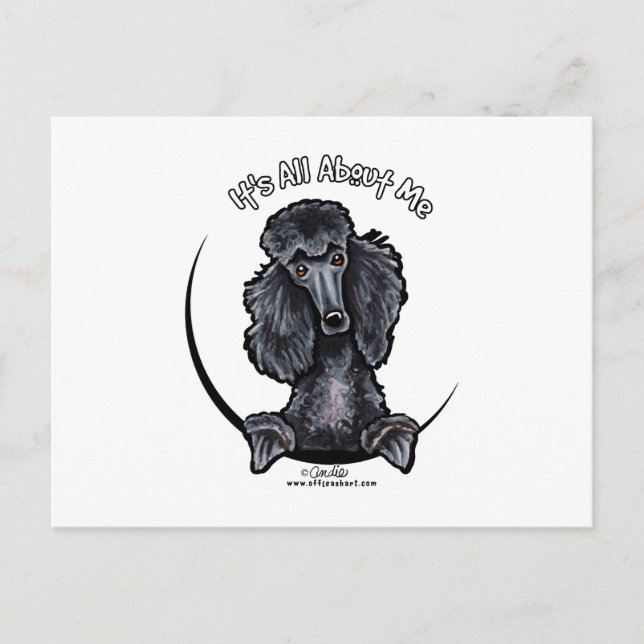 Carte Postale Black Standard Poodle IAAM (Devant)