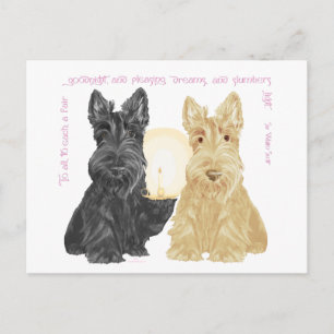 Carte Postale Black & Wheaten Goodnight Scotties