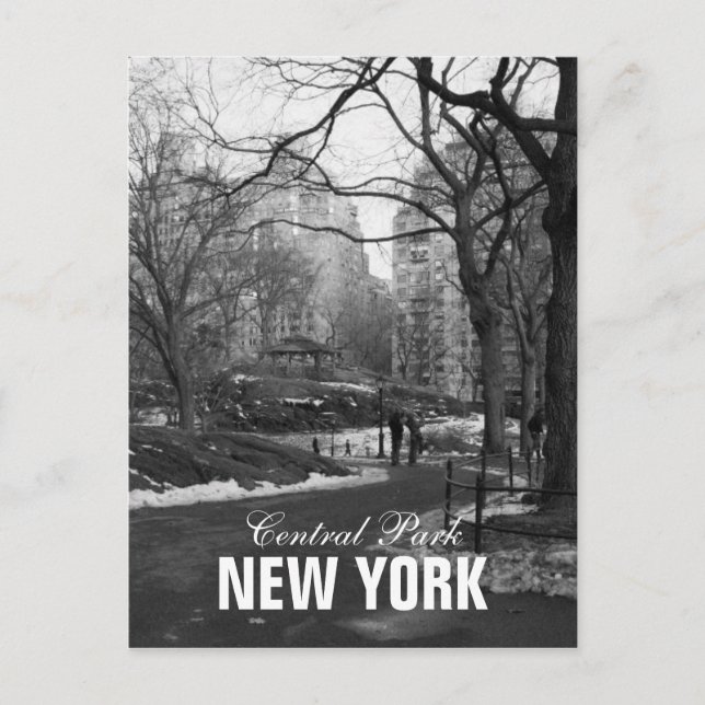 Carte Postale Black White Central Park New York (Devant)