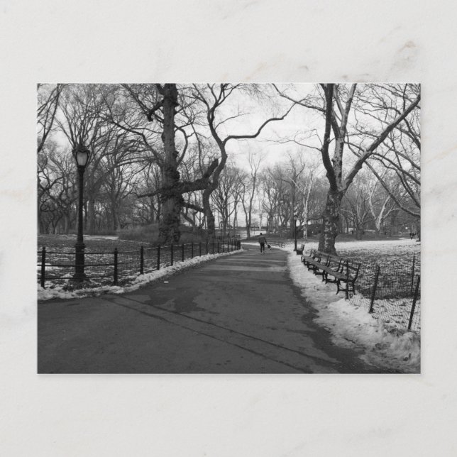 Carte Postale Black White NY Central Park (Devant)