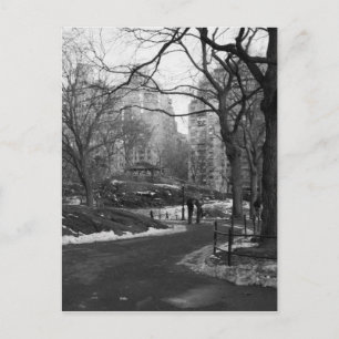 Carte Postale Black White NY Central Park