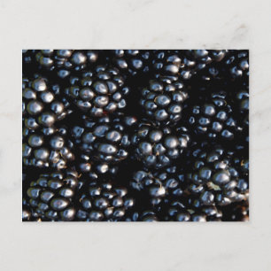 Carte Postale Blackberry