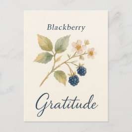 Carte Postale Blackberry — Gratitude Postcard