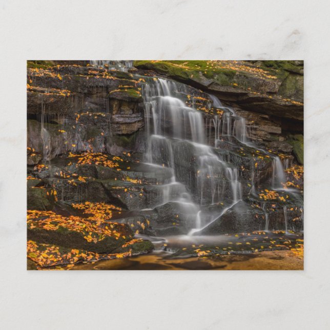 Carte Postale Blackwater Falls State Park (Devant)
