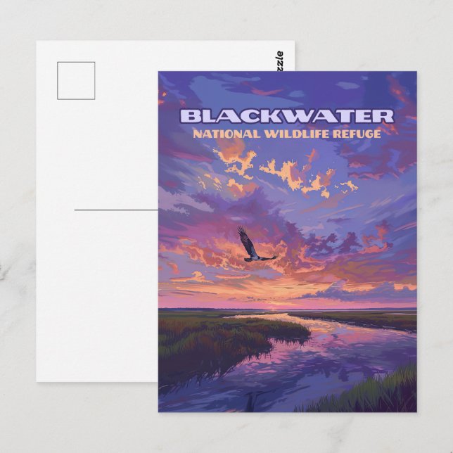 Carte Postale Blackwater National Wildlife Refuge Park Maryland (Devant / Derrière)