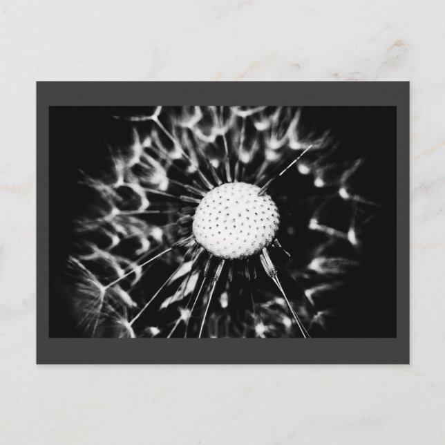Carte Postale blacq (Devant)