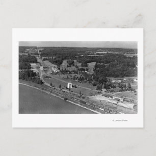 Carte Postale Blaine, WA Oiseaux Vue oeil et Int. Arche de paix