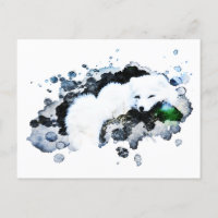 *~* Blanc arctique - Renard polaire de neige Ap18 