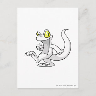 Carte Postale Blanc de Techo