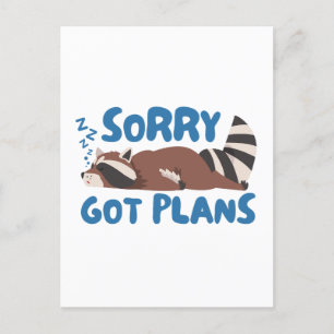 Carte Postale Blanc Désolé J'Ai Des Plans Drôle Raccoon