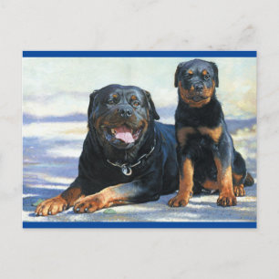 Carte postale blanche de chien chiot Rottweiler